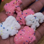 Lions, Tigers, and ....Elephants!