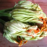 Fried Cheese-Stuffed Zucchini Blossoms