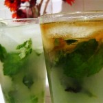 2009-07- 18 - Mojitos and Gilling 027