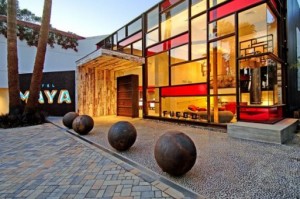 Happy Hour Goes to the Dogs at Hotel Maya, Wednesday July 28