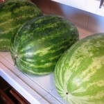 Watermelon Gazpacho Gets Raves at My Lux Dinner Party