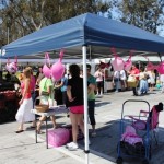 Exploring the Torrance Farmers Market