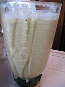 <p>Custard In The Blender</p>