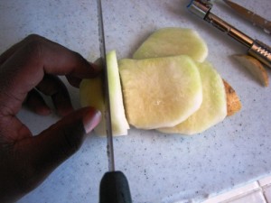 2009-08-09 - Battle Rosemary Kohlrabi 031