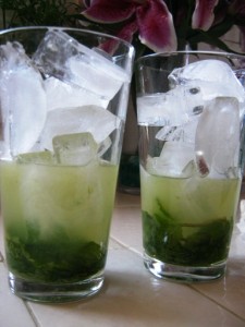 2009-08-09 - Battle Rosemary Kohlrabi 082