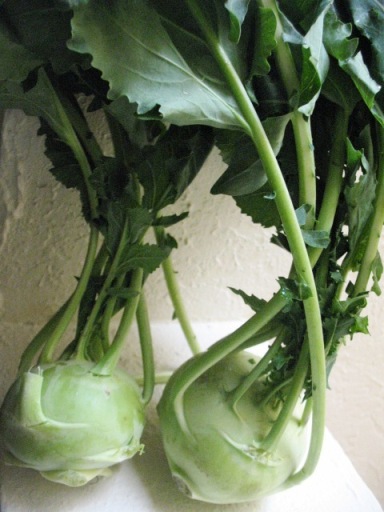 Kohlrabi8