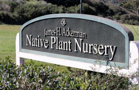 The James A. Ackerman Native Plant Nursery.