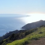 Experiencing “VolunTourism” First Hand on Catalina Island