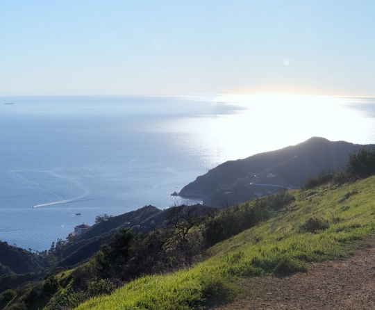 A View of Avalon from the interior of Catalina Island.