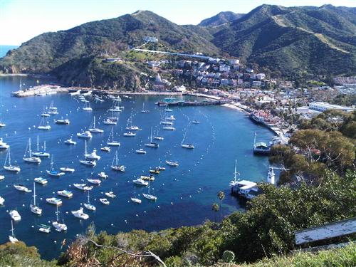 A view of Avalon Bay, the main entry point to Catalina Island.