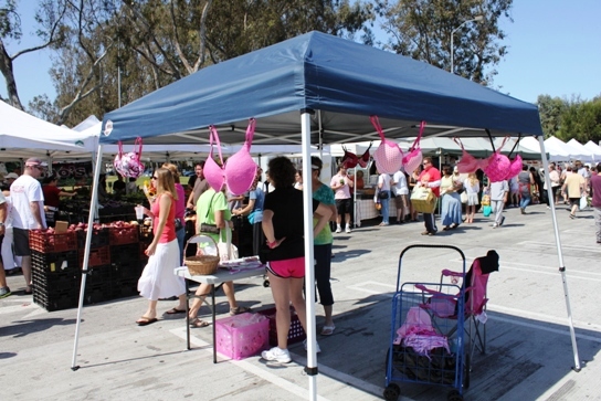 Breast cancer activists raise awareness for breast cancer research.