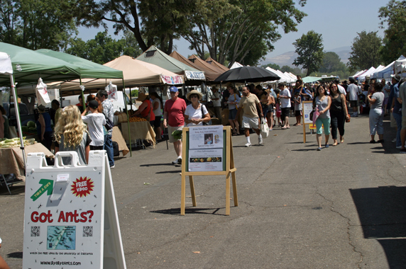 Farmers Market at OC Great Park in Irvine