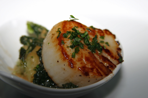 Grilled Boston sea scallop over "smashed potato" and kale