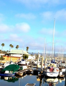 bluewater grill