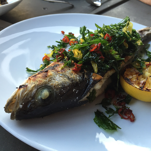 Grilled Branzino